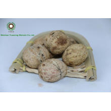 Walnuts in shell 185# ,3.2CM+from Yunnan